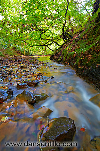 Afon Conwy Tributary Afon Conwy Tributary