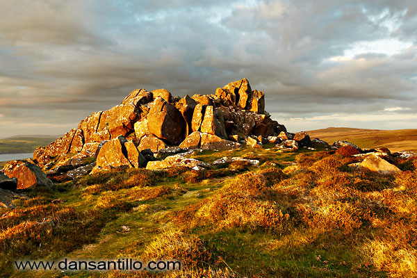 Mynydd Dinas Mynydd Dinas
