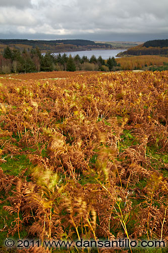 Usk Reservoir Usk Reservoir