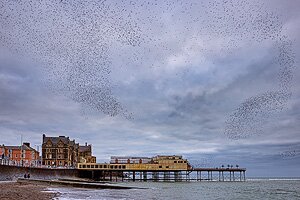 Aberystwyth